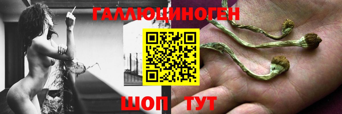 Галлюциногенные грибы Magic Shrooms Рузаевка
